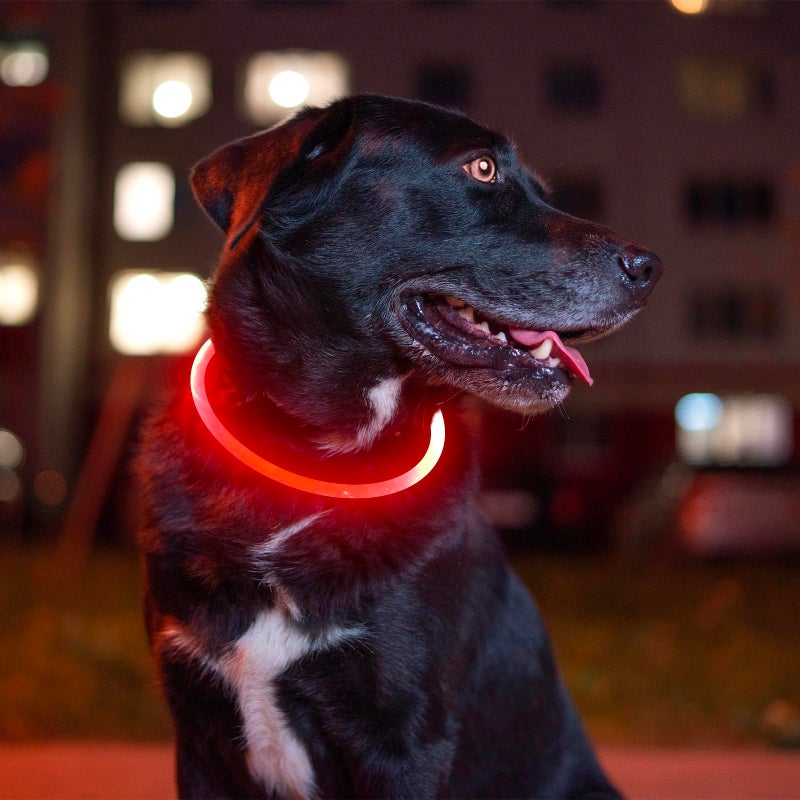 BSEEN Led Dog Collar, BSEEN USB Rechargeable Flash Dog Necklace Light, Pet Safety Collar Makes Your Beloved Dogs Be Seen at Night for Small Medium Large Dogs(Red) - Image 5